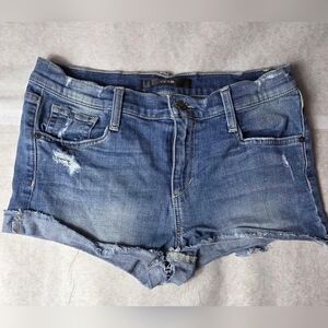 Joe's Denim Blue Women's Shorts